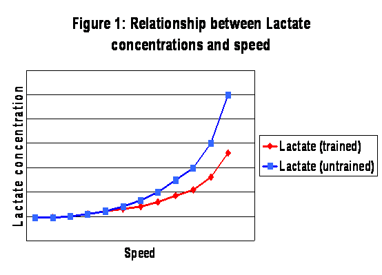 Lactate vs Speed graph
