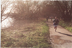 Running on Barnes riverside path