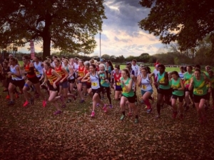 Picture from Information about the cross country season 2018-19